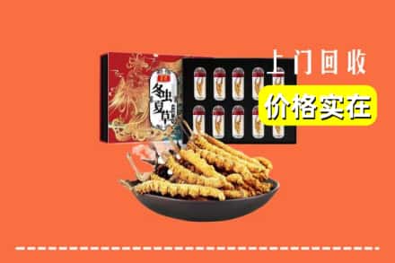沈阳苏家屯区回收冬虫夏草